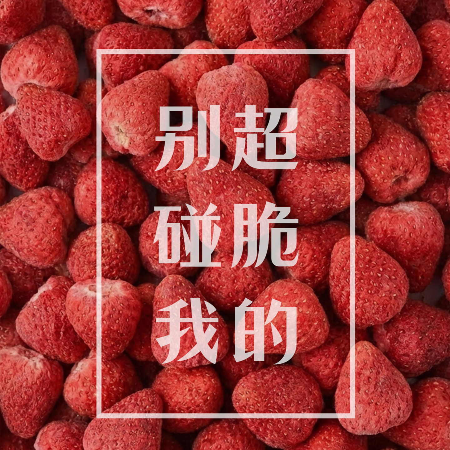 四季屋冻干小草莓50g整颗草莓脆烘焙雪花酥独立小包装果脯草莓干