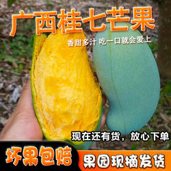 广西田东桂七芒果9斤新鲜水果包邮百色特产甜青皮桂七香芒