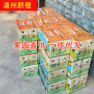 湖南特产道州脐橙果园直销现摘现发不催熟10斤孕妇水果道县甜橙