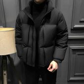 外套高端商务男装 冬季 立领爆款 羽绒服秋冬2025新款 90鸭绒加厚男士
