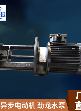 玻璃清洗机黑色水泵 劲之龙YSB7102HF100/50 250W强力泵耐酸碱