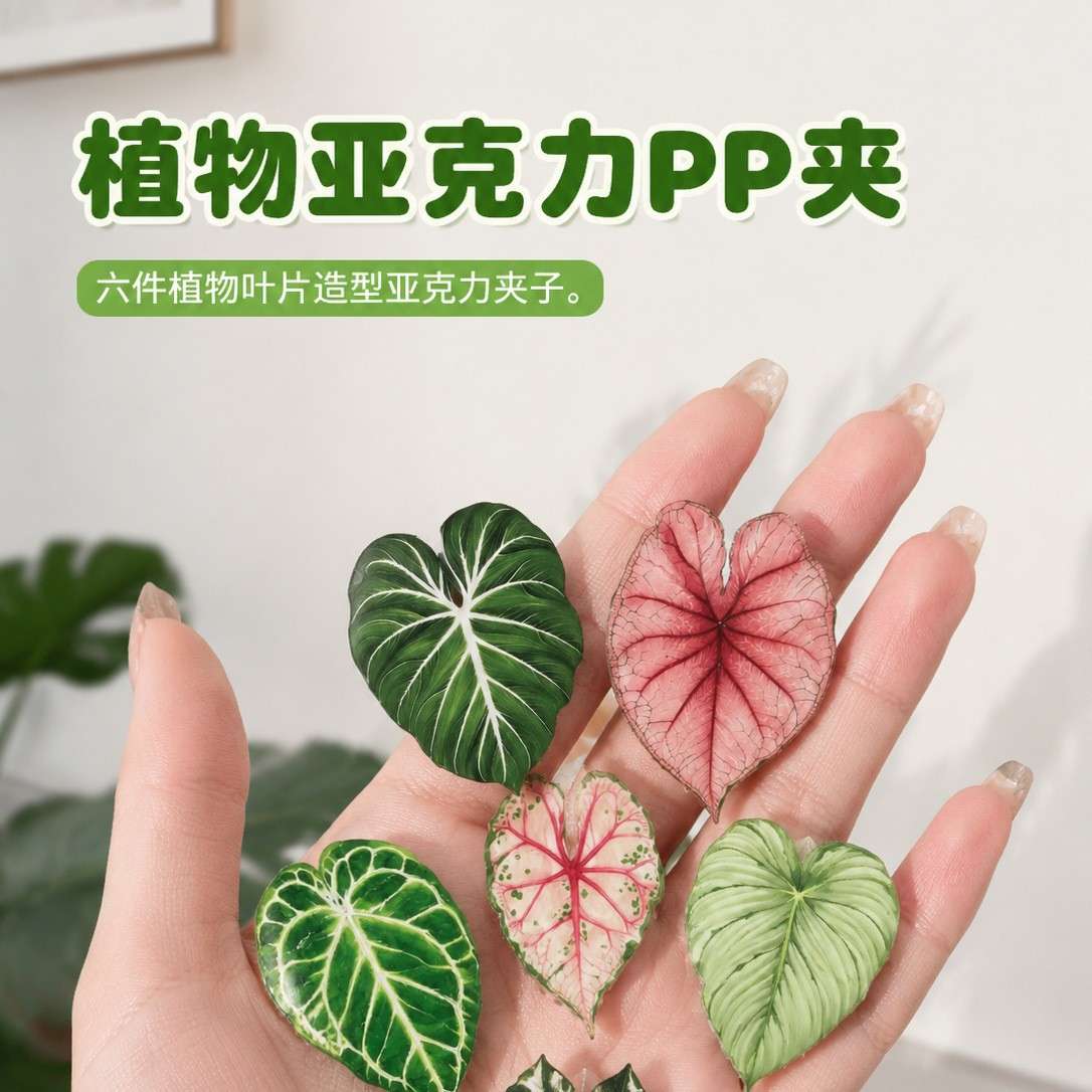 亚克力PP手账票据夹礼品赠品图片