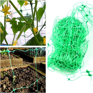 Tewango塑料植物爬藤网月季黄瓜葡萄攀爬网格支架菜园丝瓜爬藤网