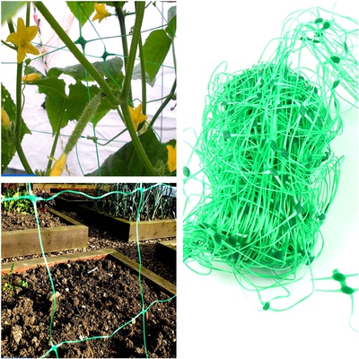 结实耐用爬藤网探网阁塑料网