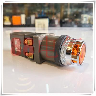 售罄原装日本() ALN 30mm 进口带灯按钮TWR 100/110VAC