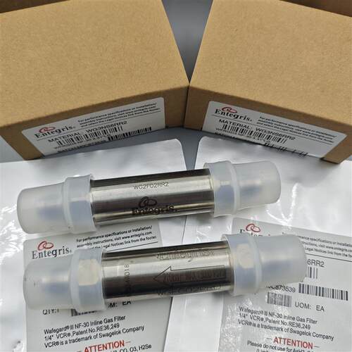 原装正品美国气体过滤器WG2F02RR2/WGFG02PRU议价