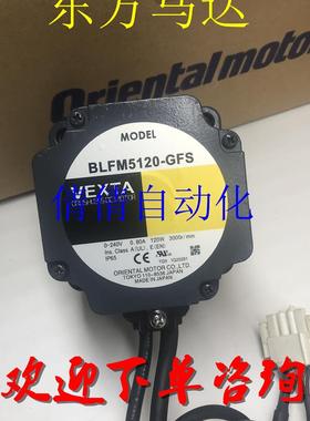 东方电机BLFM230/460/5120/6200-A/-GFS BLFM6400-A/-GFS议价询价