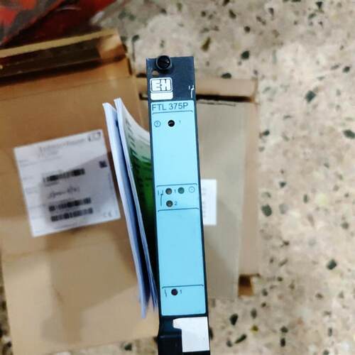 Endress+Hauser FTL375P FTL375P-F1E1询价