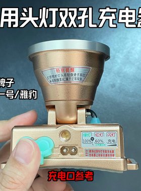 头灯双孔充电器通用猎霸一号雅豹