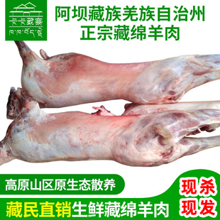 四川阿坝高原散养绵羊新鲜绵羊肉九寨藏民48元清真现杀生鲜羊肉