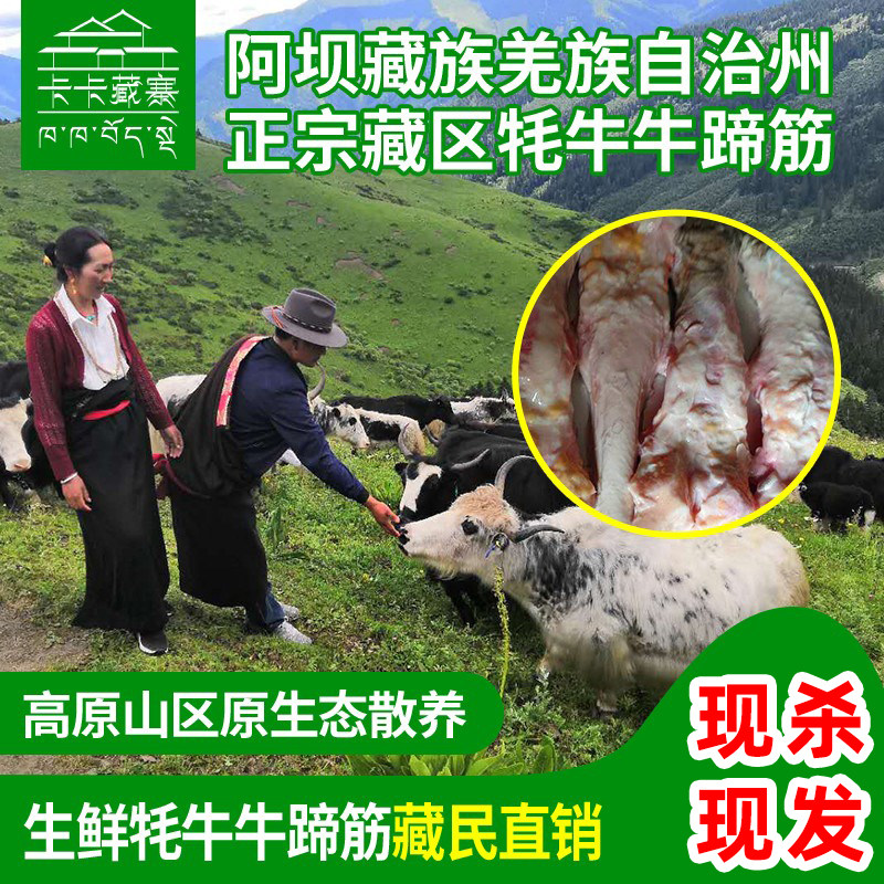 卡卡藏寨青藏川西高原散养现杀鲜牦牛蹄筋脚掌筋冰鲜食品3斤起拍