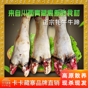 卡卡藏寨青藏川西高原散养生鲜牦牛蹄藏民直销29元 卡卡藏寨 一斤