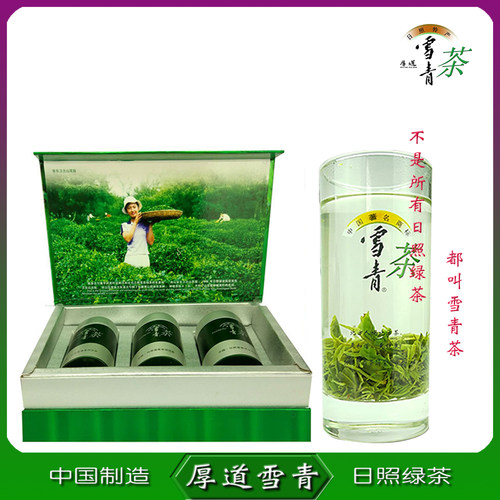 日照绿茶雪青茶无公害春茶头层茶