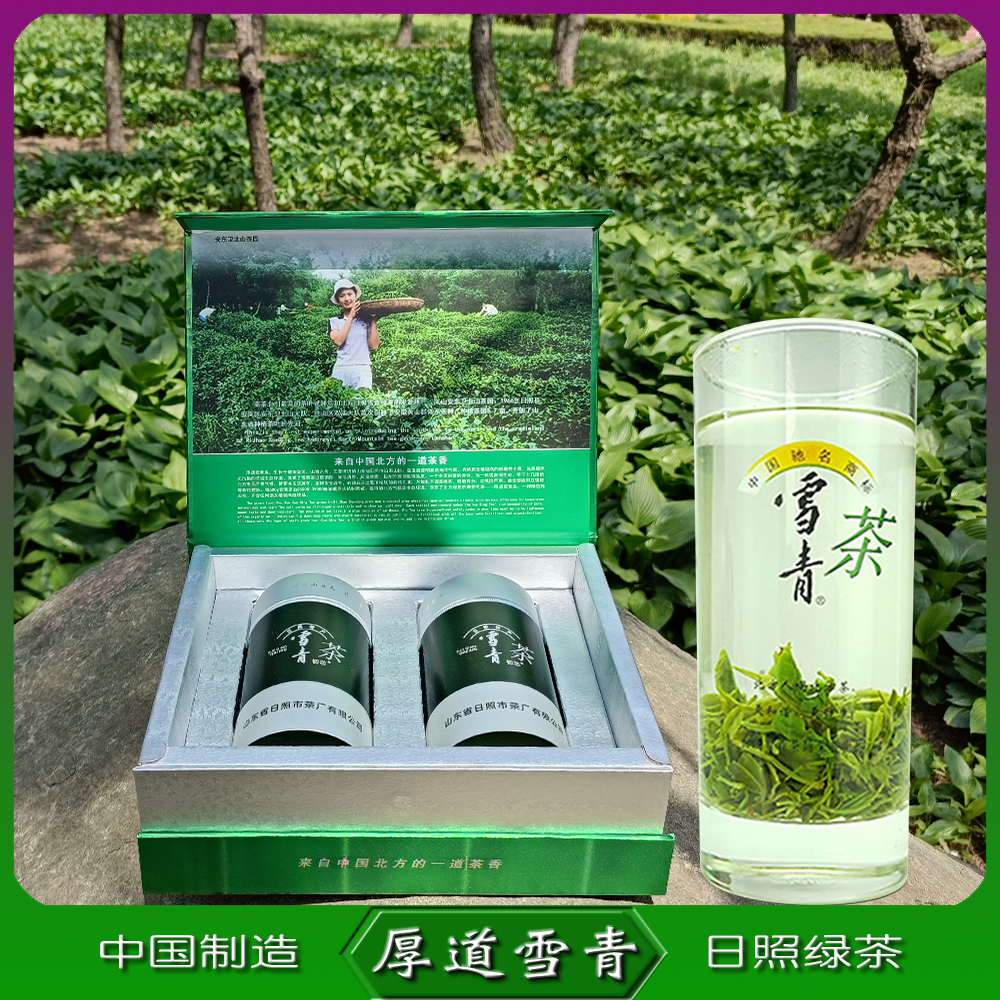 日照绿茶2026新茶雨后珍品礼盒原生态茶日照绿茶官方旗舰店雪青茶