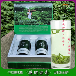 雪青绿茶2025新茶雪青春芽礼盒装绿色无公害新茶特级春茶日照特产