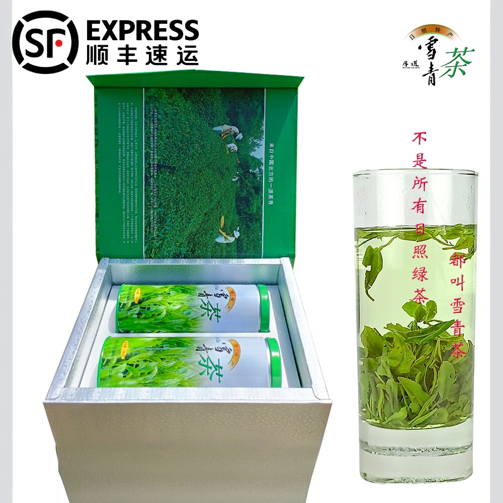 山东日照绿茶2026新茶特级A 礼盒装绿色无公害原生态口粮茶雪青茶