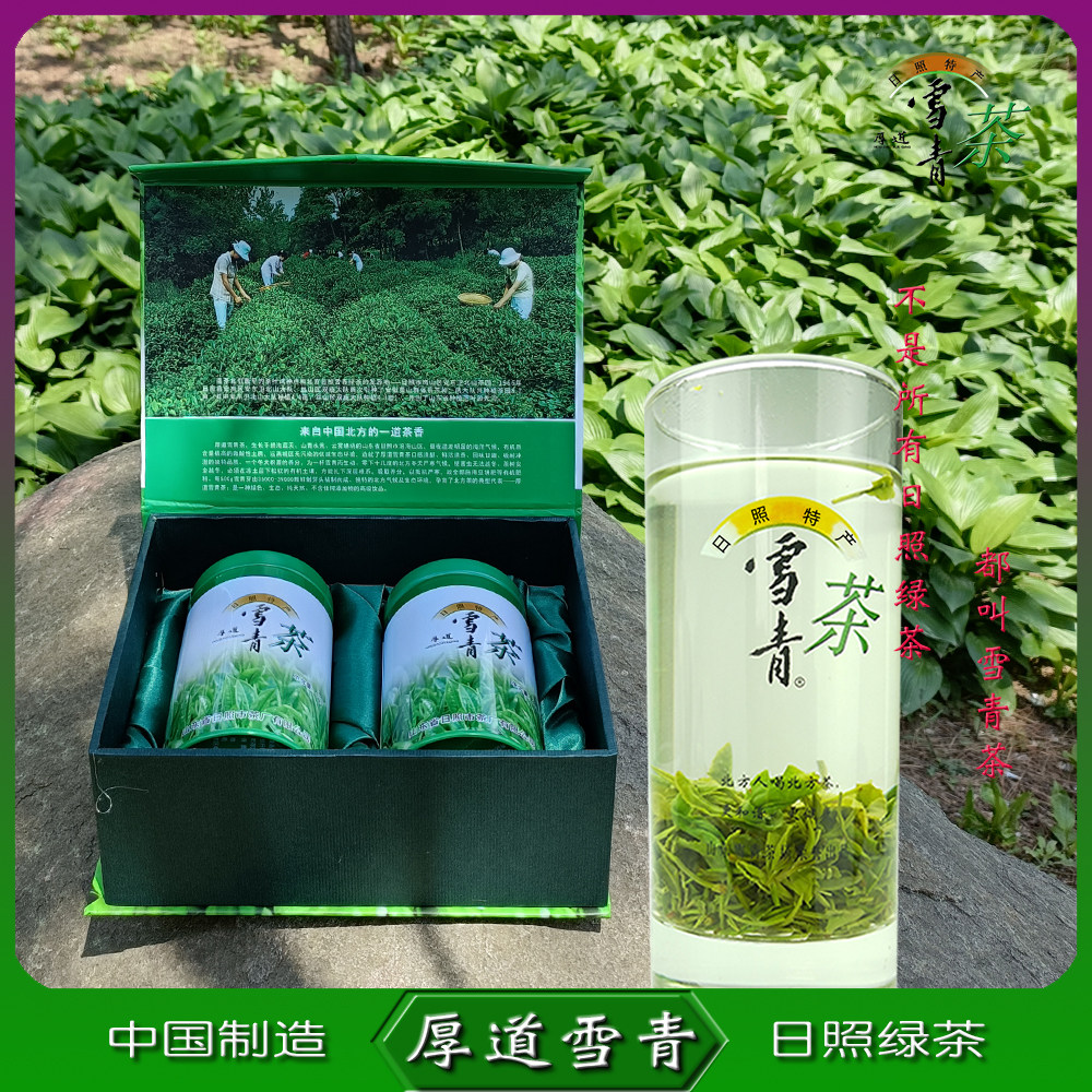 雪青茶日照绿茶春茶手工茶雨前茶