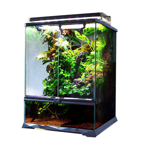 雨林缸生态造景缸热带雨林植物蜥蜴爬宠爬虫守宫饲养箱爬宠雨淋缸