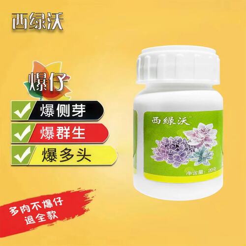 西绿沃崽肉爆仔爆侧芽爆