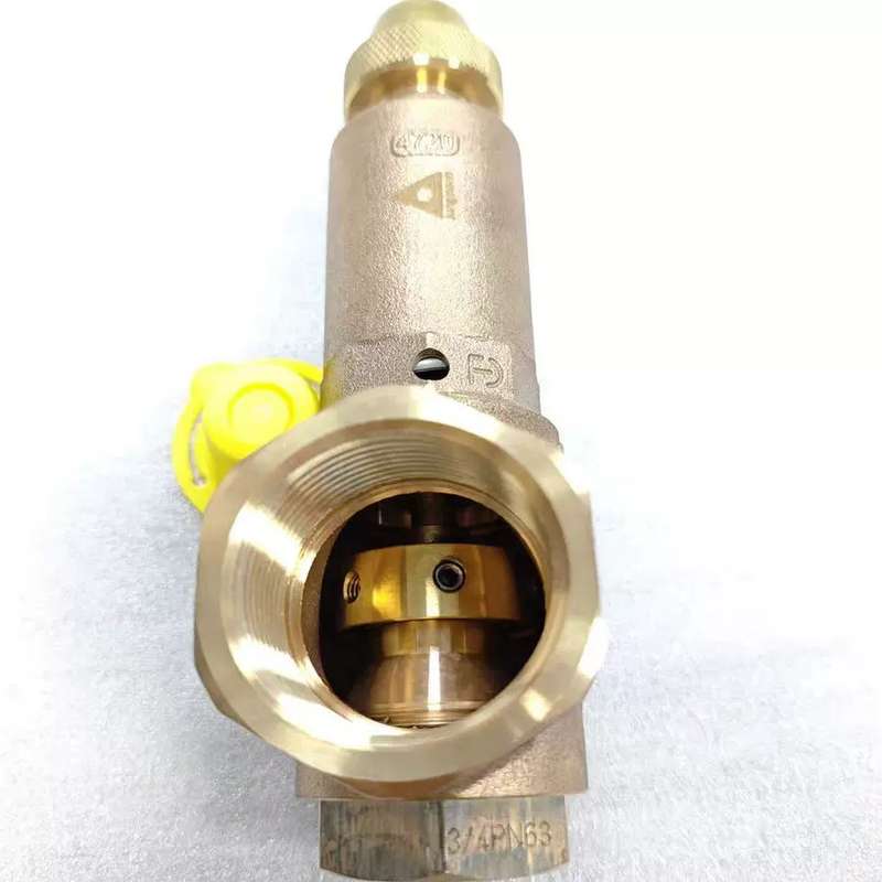 议价洁定灭菌器蒸汽发生器安全阀