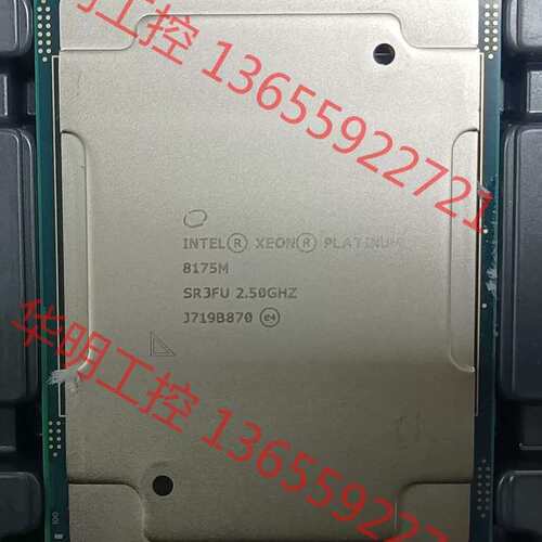 议价 Intel xeon 8175M CPU 正式版，2.5主频