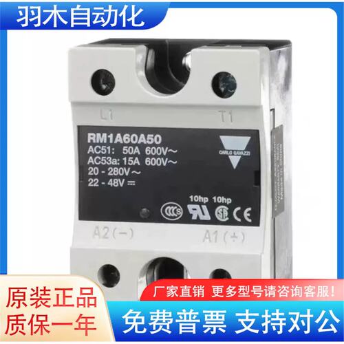 固态继电器 RM1A48A50 RM1A23A25 RM1A40A75 RM1A60A100 A125 A10