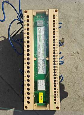 议价P+F安全继电器SC4-8 24VAC/DC-Y200