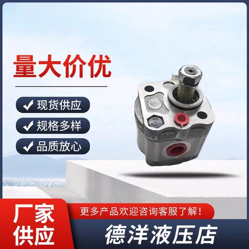 马尼亚HESPER赫思博齿轮泵EHTSR-1.2C/0.2/0.26/0.32/0.4液压帮浦