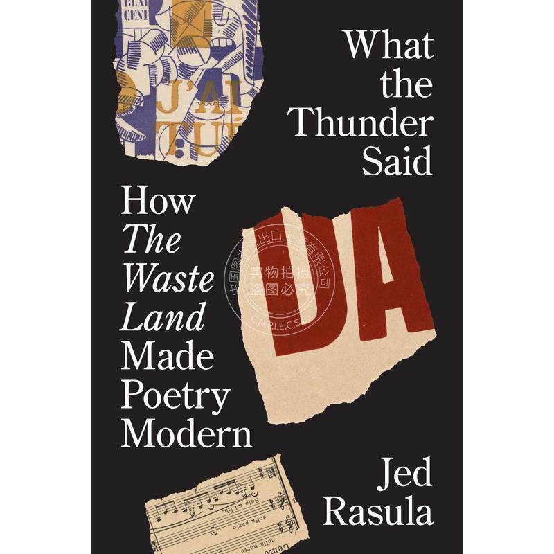 What the Thunder Said雷霆之声:《荒原》如何催生现代诗歌 普林斯顿