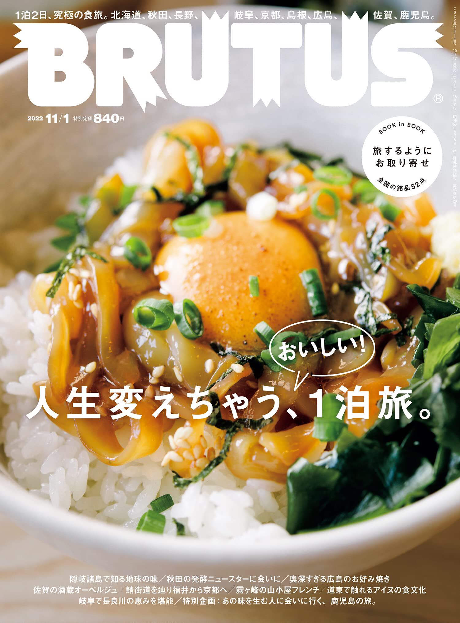 现货 进口日文 brutus(ブルータス) 2022年 11月1日号 no.