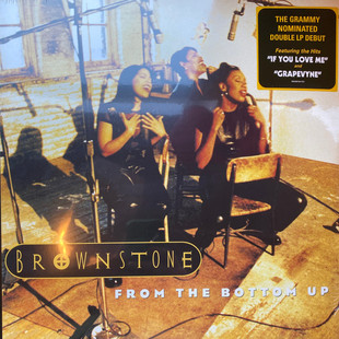 The From Bottom 1LP Brownstone 30周年纪念版 从底部向上
