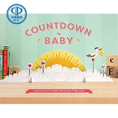 现货 英文原版 Countdown to Baby: A Decorative Paper Pregnancy Tracker