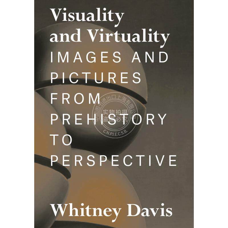 Visuality and Virtuality可视性与虚拟性：从史前史到展望的图像与图画 普林斯顿