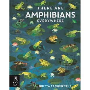 There 儿童科普绘本 社 两栖动物无处不在 Are Picture Everywhere Big 9岁 Press出版 Amphibians 英文原版