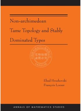 按需印刷 Non-Archimedean Tame Topology and Stably Dominated Types 非阿基米德拓扑学与稳定主导型 英文原版普林斯顿出版社