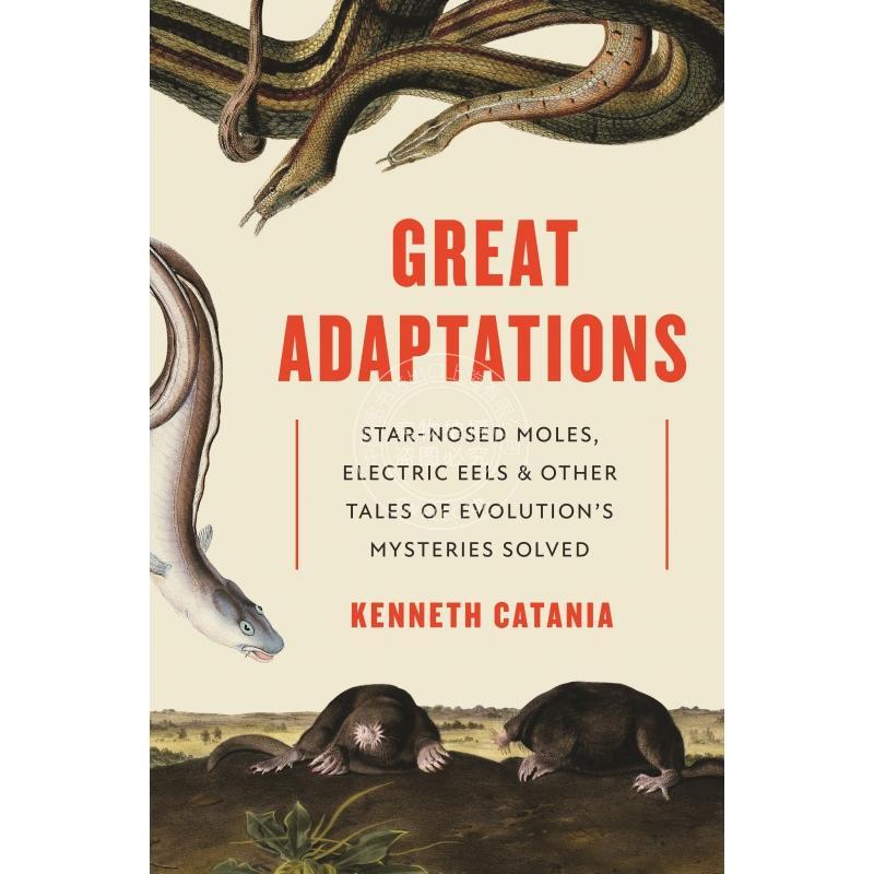 现货 预售 Great Adaptations伟大的改编:解决了星鼻痣,鳗鱼和其他进化论故事