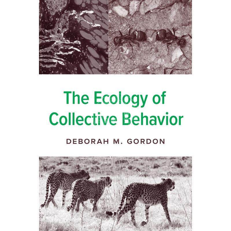 The Ecology of Collective Behavior集体行为的生态学 普林斯顿