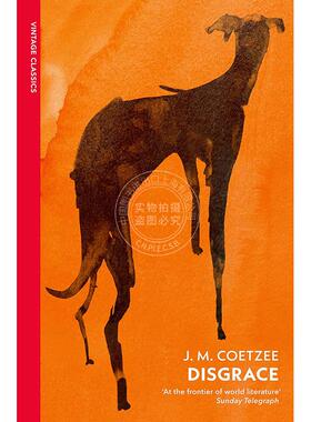 预售 耻 J·M·库切 J.M. Coetzee  vintage classics系列 英文原版 Disgrace