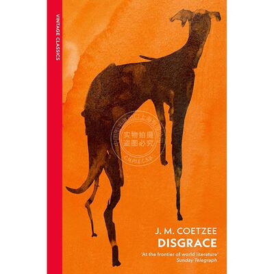 现货 耻 J·M·库切 J.M. Coetzee  vintage classics系列 英文原版 Disgrace