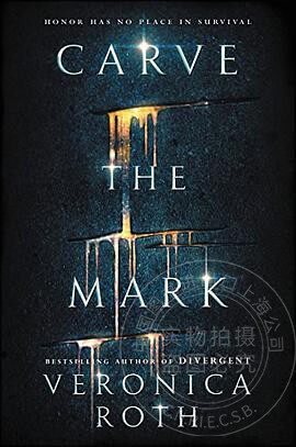 英文原版CARVEMARK雕刻标记