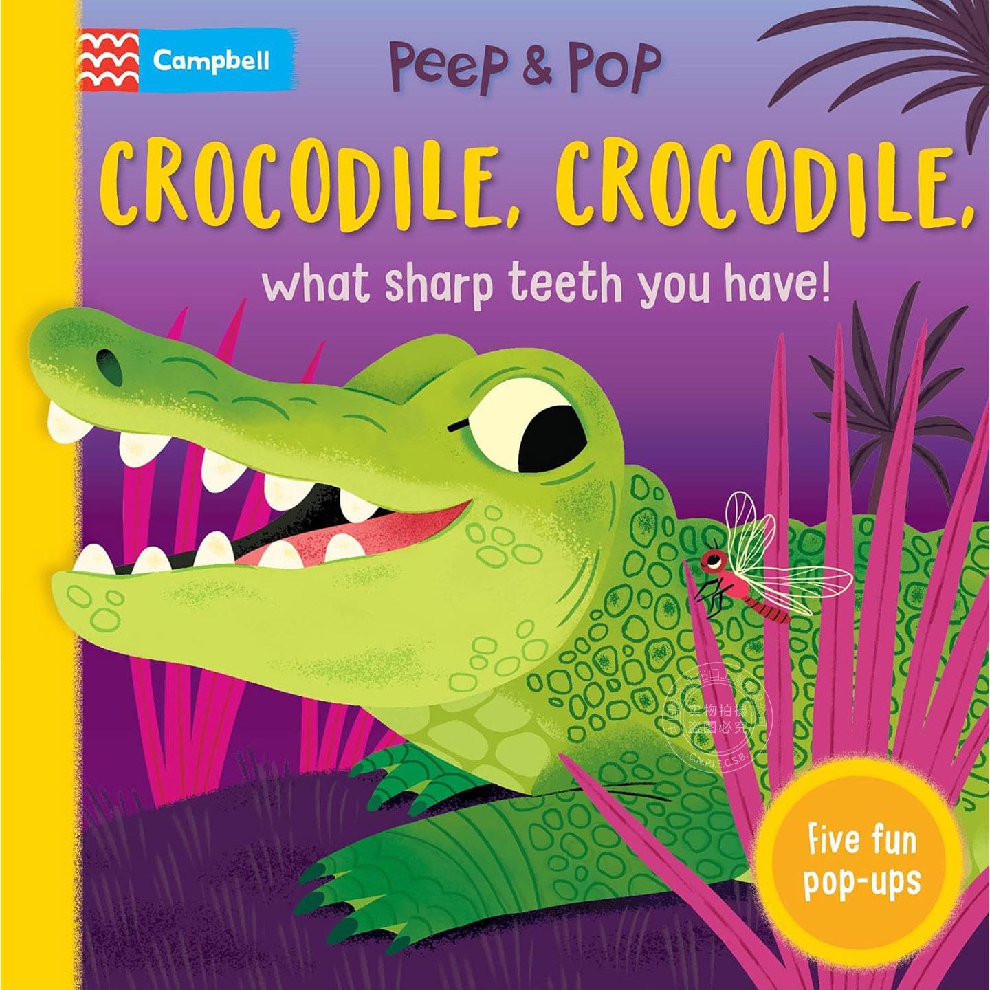 鳄鱼鳄鱼，你的牙齿真锋利！ 儿童绘本翻翻纸板书 英文原版 Crocodile  Crocodile  What Sharp Teeth You Have! 3-5岁
