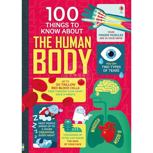 现货 人体知识100条 儿童科普读物 Usborne出版社 英文原版 100 Things to Know About the Human Body 8+岁