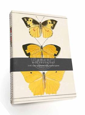 蝴蝶笔记本套装 3本A5笔记本 文创周边 英文原版 Butterfly Notebook Set – 3 A5 lined notebooks with stitched spines