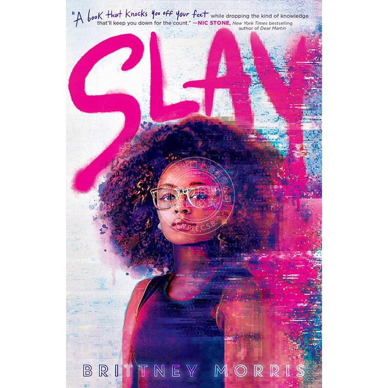 SLAY 英文原版 Brittney Morris 外国文学小说