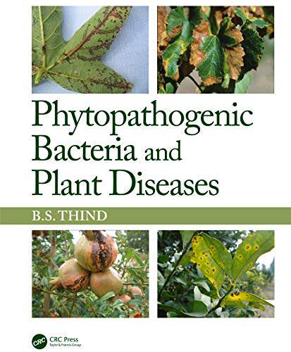 预售 按需印刷 Phytopathogenic Bacteria and Plant Diseases