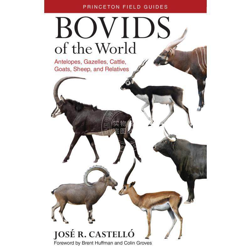 按需印刷 Bovids of the World世界反刍动物：羚羊、瞪羚、家牛、山羊、绵羊与其关系（丛书） 英文原版普林斯顿,书籍/杂志/报纸,原版其它,淘宝优惠券,粉丝福利购,淘宝优惠卷