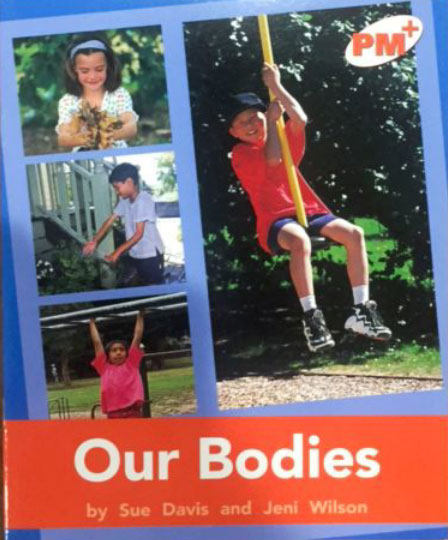 现货 Orange Level - Non-fiction Books PM彩虹阅读 小学教育分级阅读6册