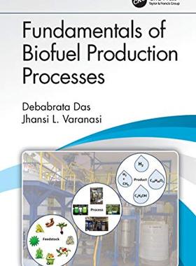 预售 按需印刷 Fundamentals of Biofuel Production Processes