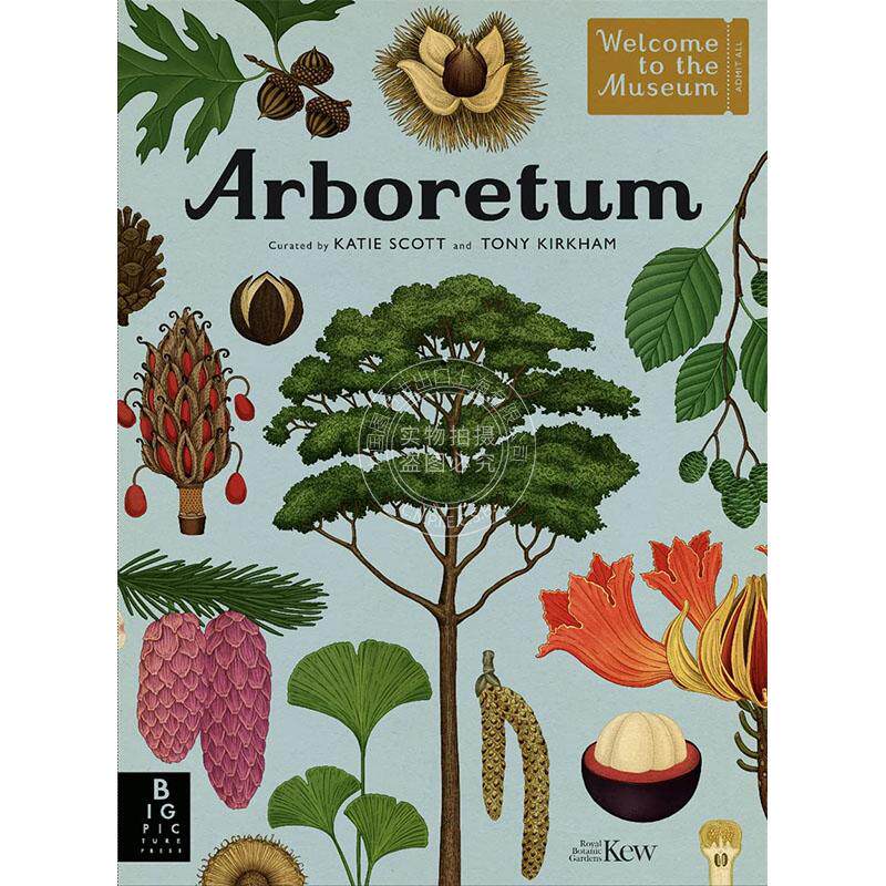 现货 植物园 欢迎来到博物馆系列 儿童科普绘本书 英文原版 Arboretum Big Picture Press