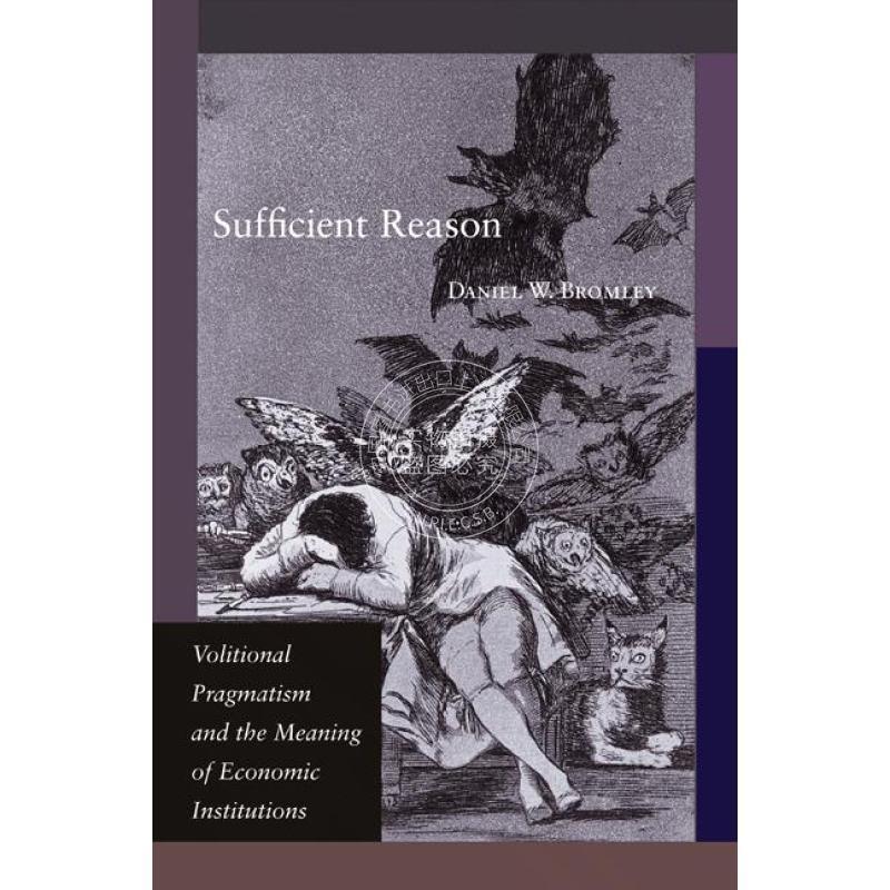 按需印刷 Sufficient Reason充足的理由：意愿性实用主义与经济制度的意义 英文原版普林斯顿